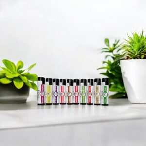 CBD Lip Balms shown on a white counter with succulents