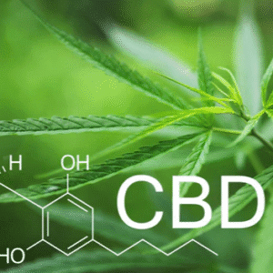 CBD For Focus